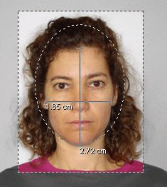 http://www.onthegosoft.com/images/passport/photo_with_markers.png