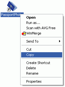 copy Passport Photo icon